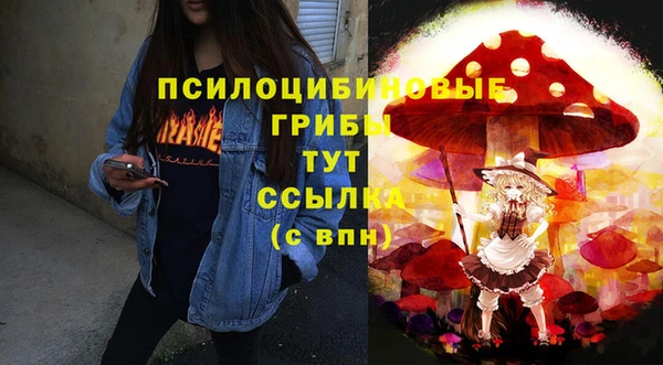 apvp Киреевск