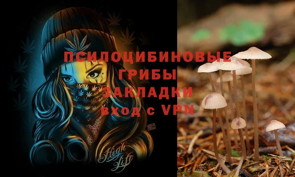 a pvp Заволжск