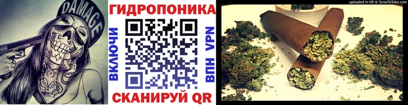 Купить закладки  Калининск  Бошки марихуана THC 21% 
